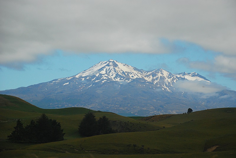 DSC_0897.JPG