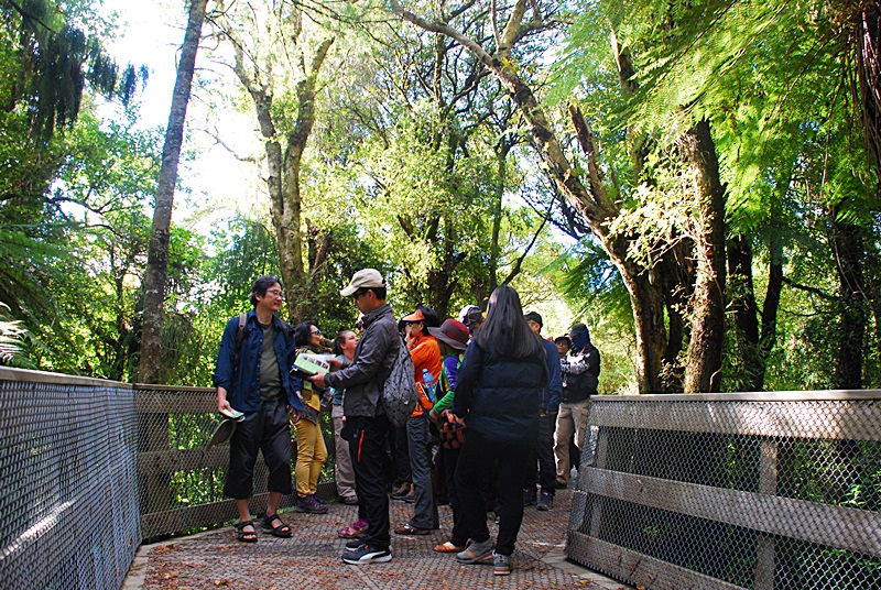 DSC_0015.JPG