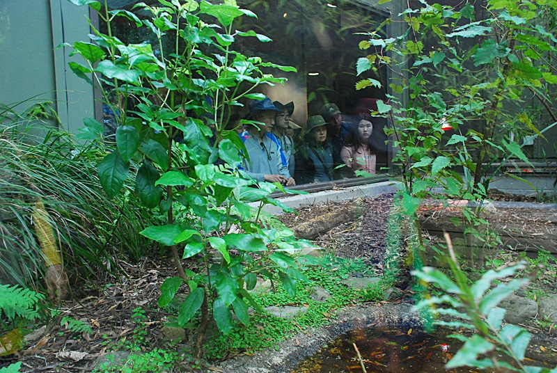 DSC_0961.JPG