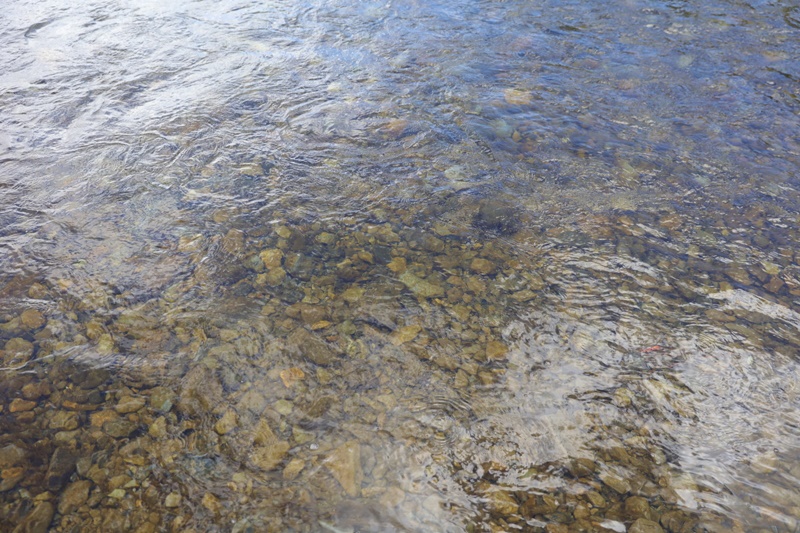 233A2834.JPG