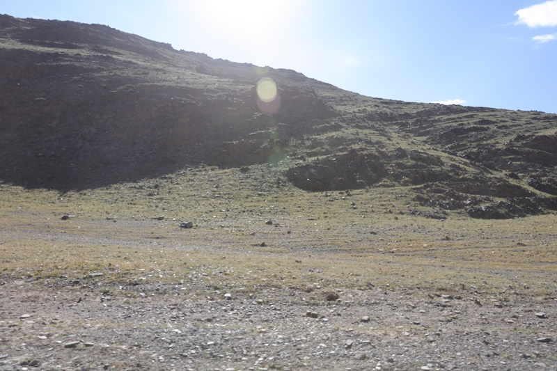 233A3054.JPG