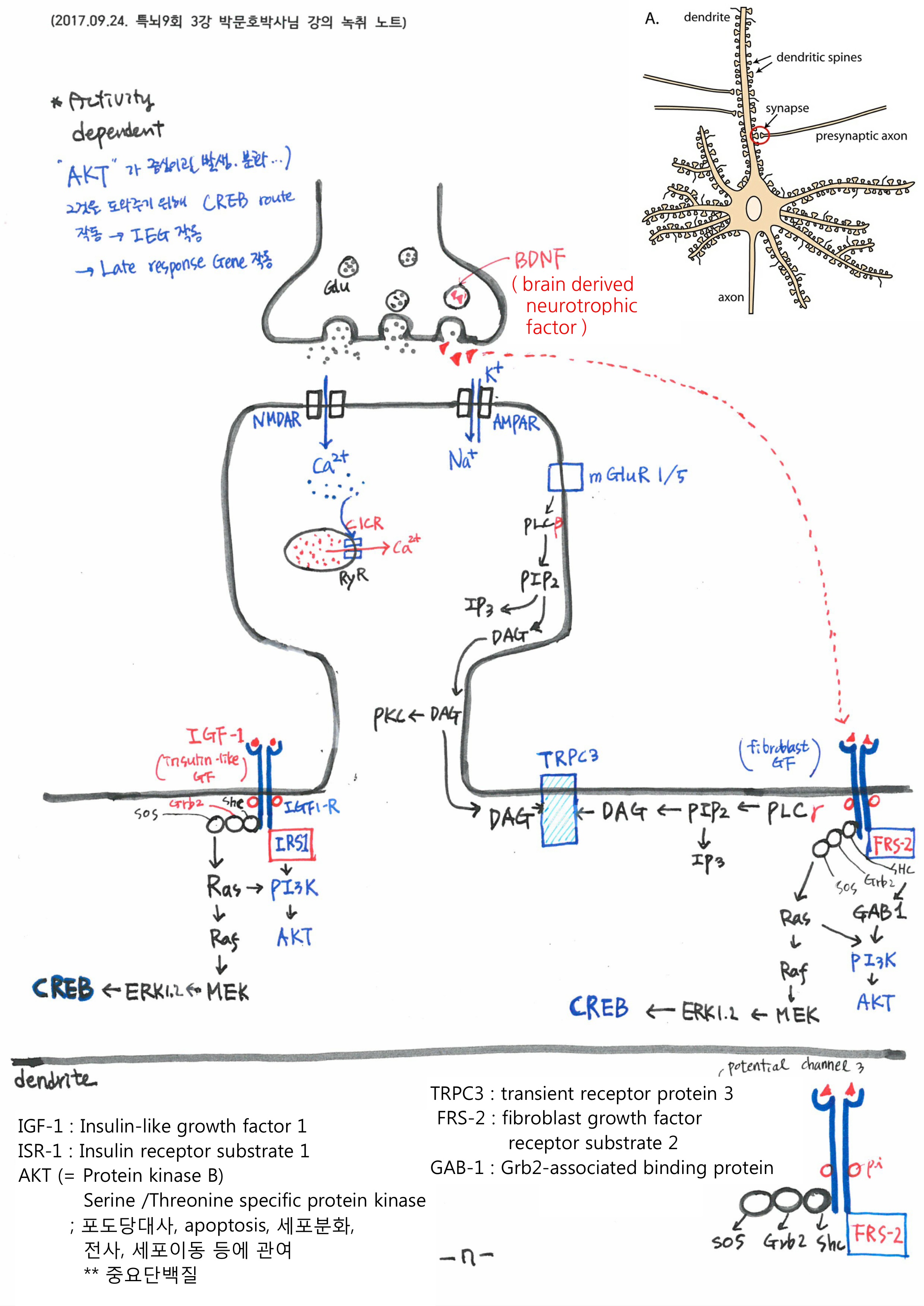 5AB23796E830ED4D9C2E8B6BDBBCC88F_9.jpg