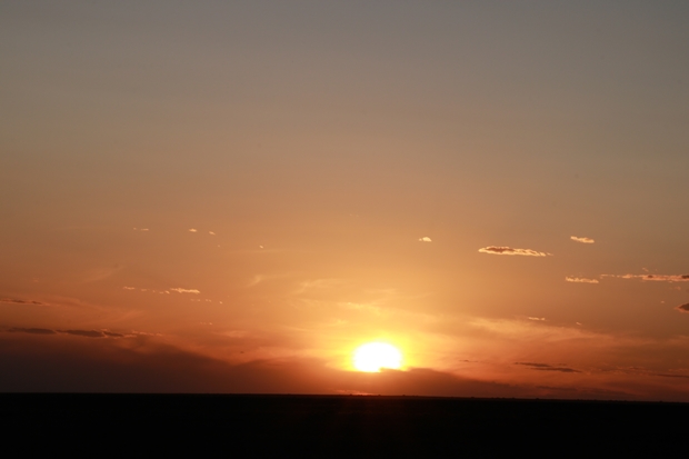 IMG_7916.JPG