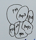 수정.PNG