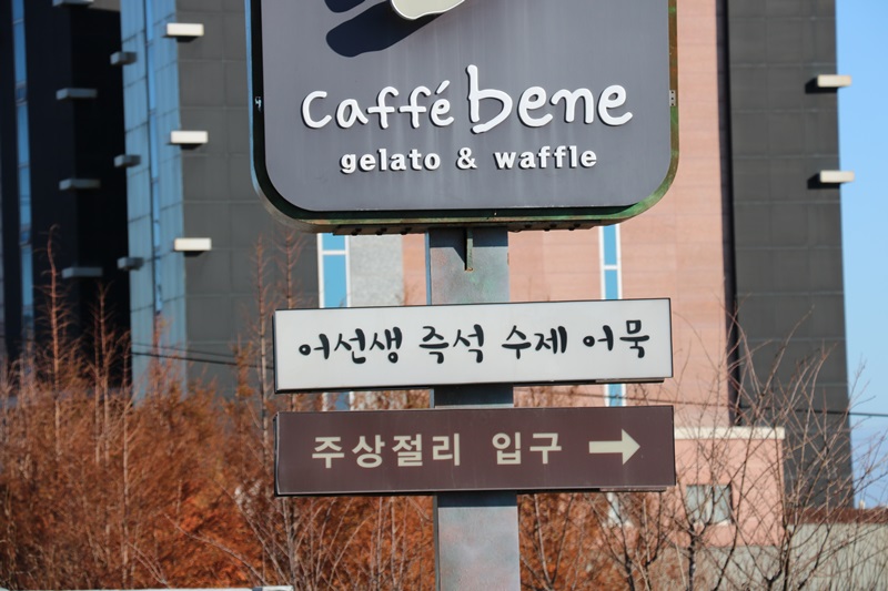 238.JPG