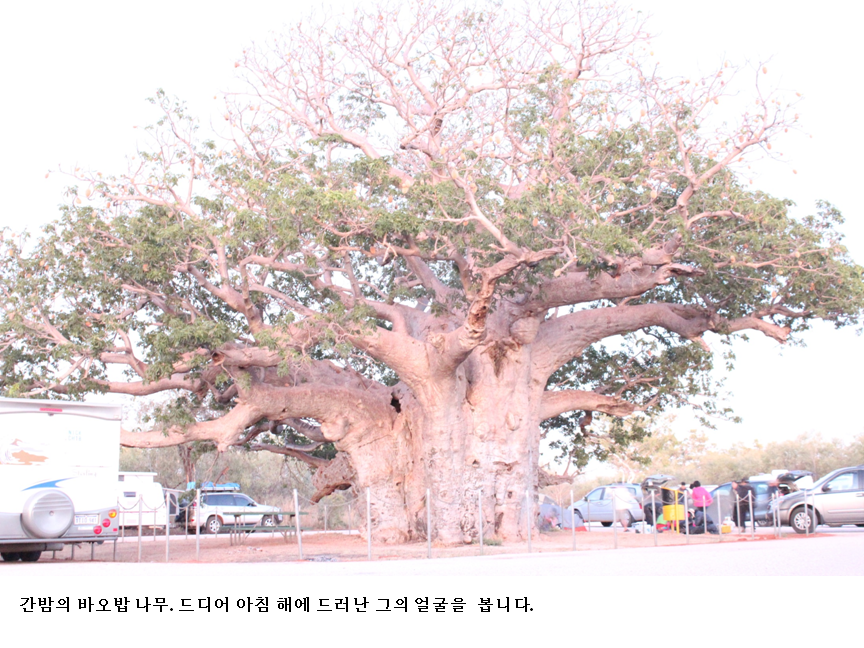 슬라이드3.PNG