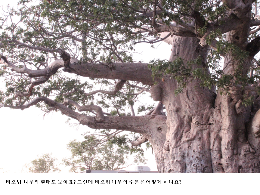 슬라이드4.PNG