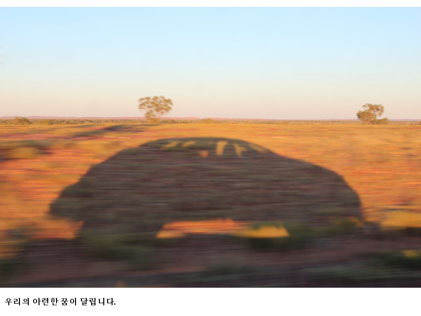 슬라이드12.PNG
