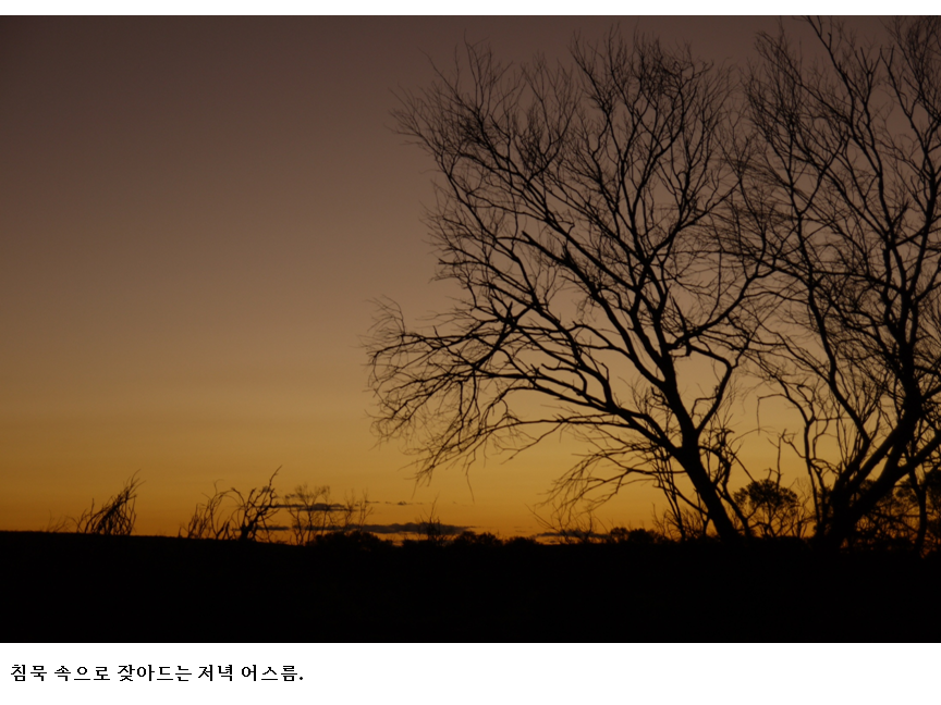 슬라이드17.PNG