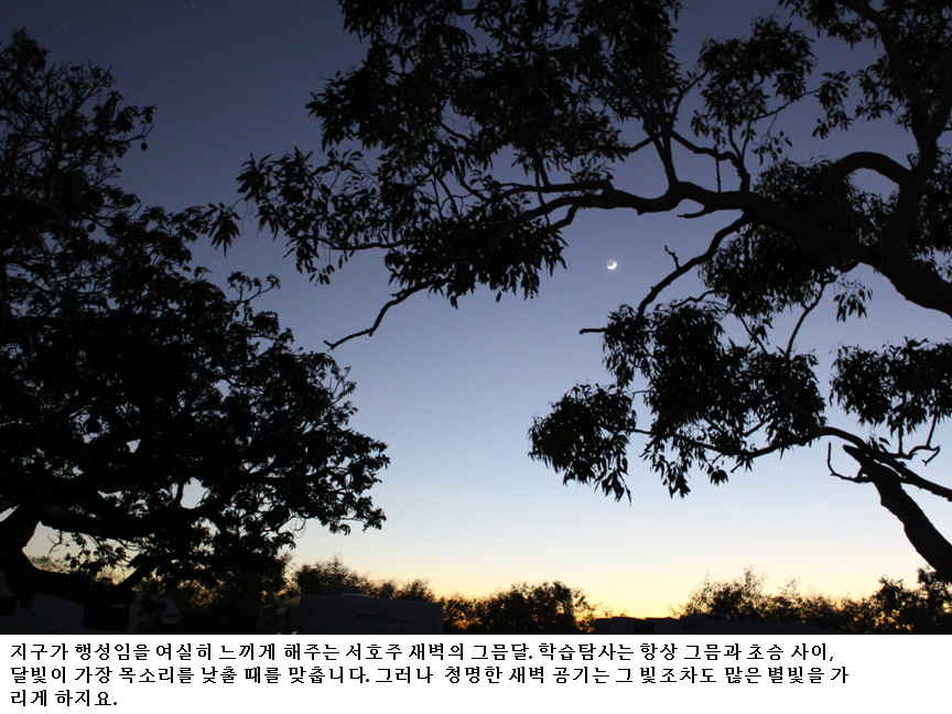 슬라이드1.PNG