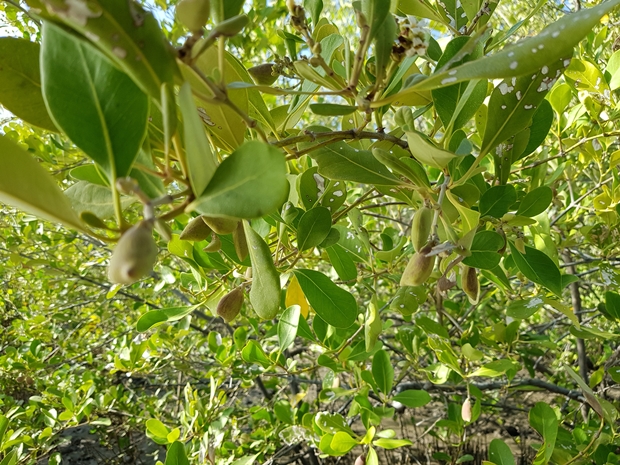 최고품질KakaoTalk_20200106_102550616_07.jpg
