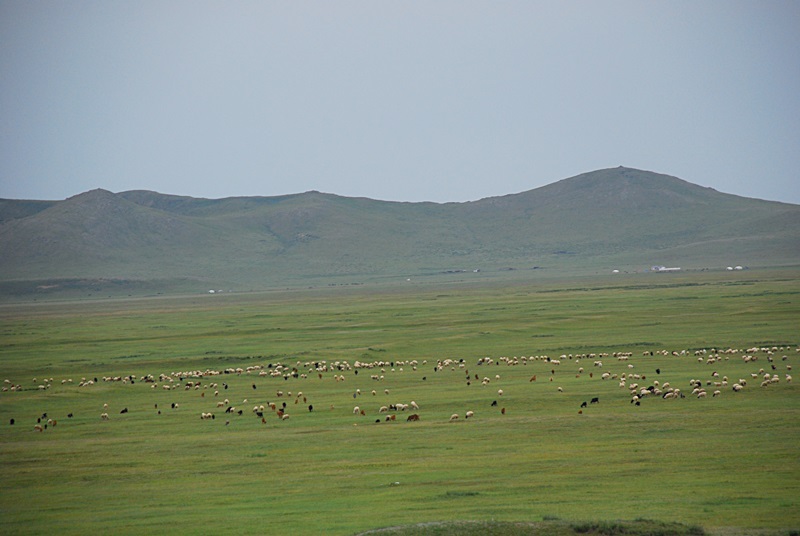 DSC_0740.JPG
