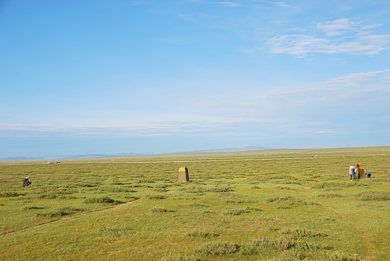 DSC_0513.JPG