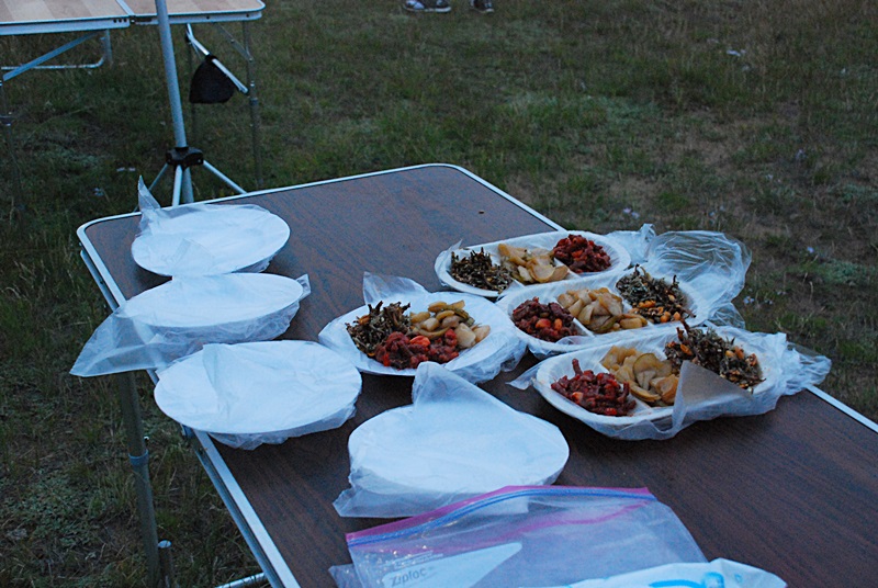 DSC_0859.JPG