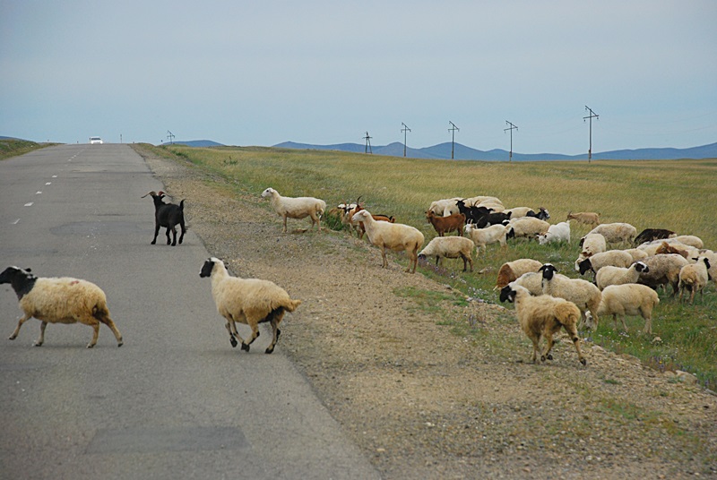 DSC_0652.JPG