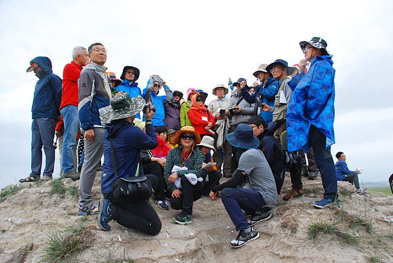 DSC_0753.JPG