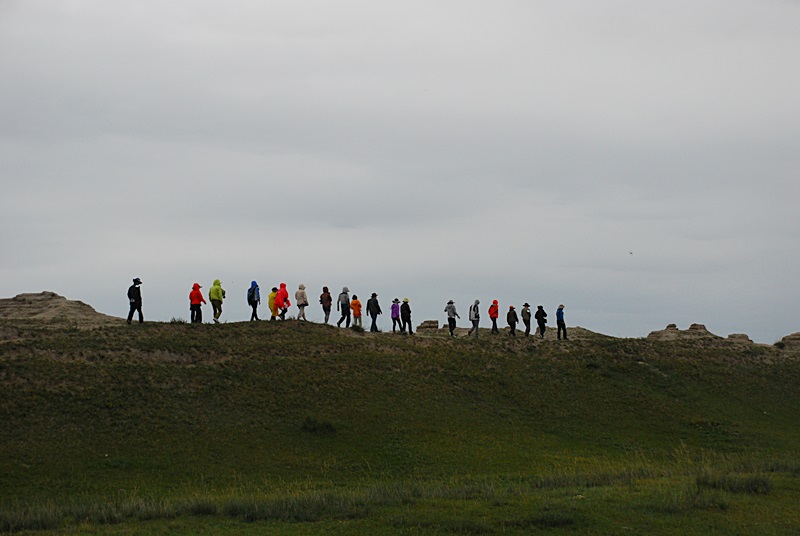 DSC_0701.JPG
