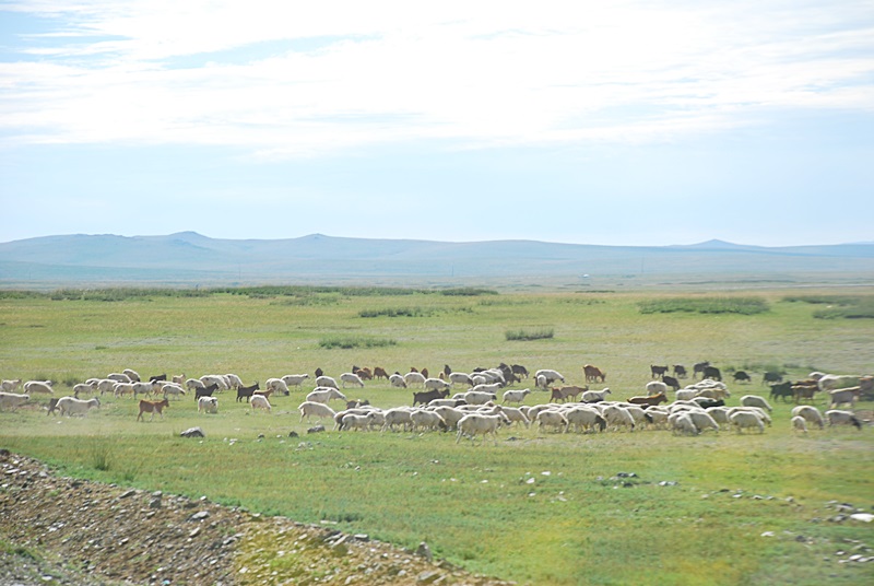 DSC_0552.JPG
