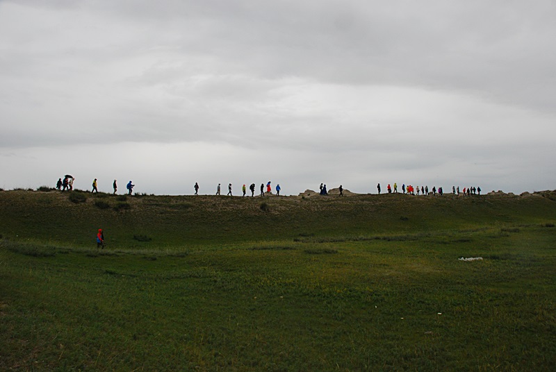 DSC_0702.JPG