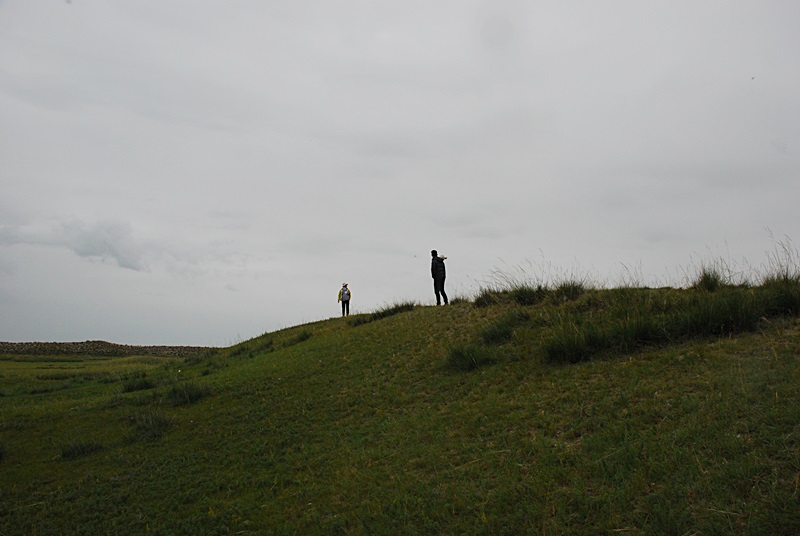 DSC_0710.JPG