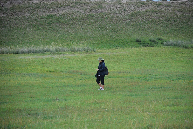 DSC_0725.JPG