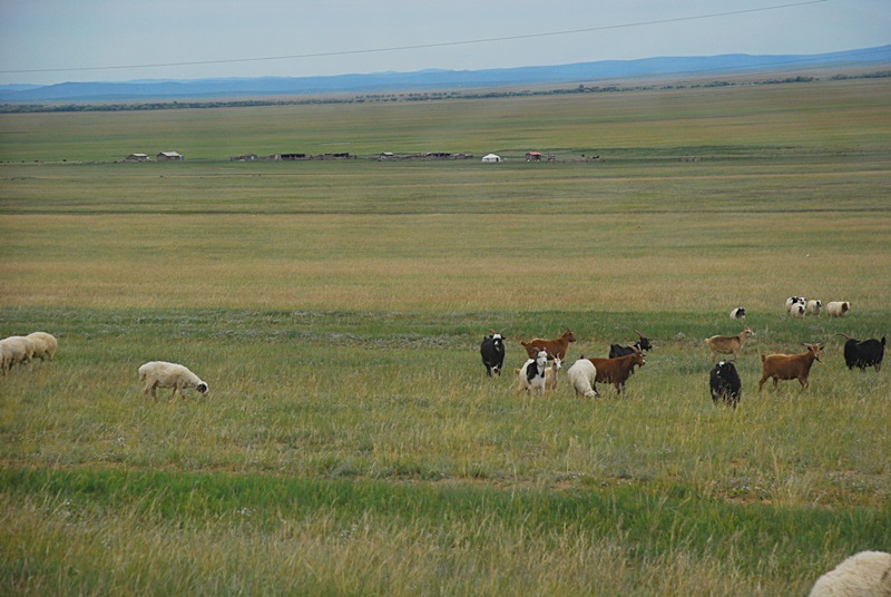 DSC_0654.JPG