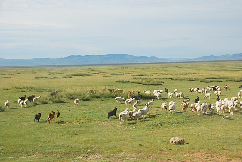 DSC_0554.JPG