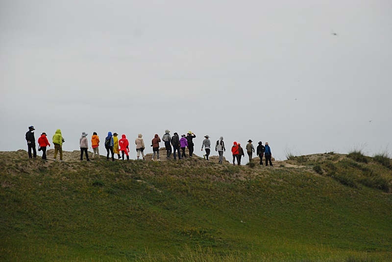 DSC_0703.JPG