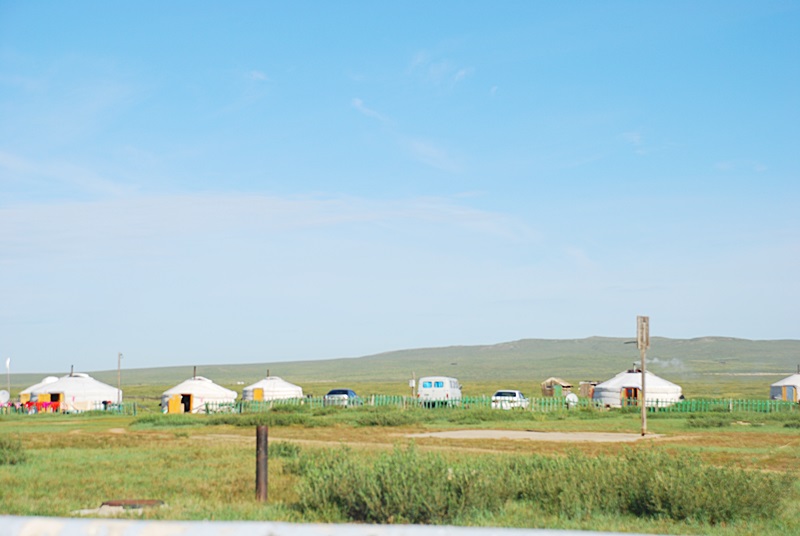 DSC_0525.JPG