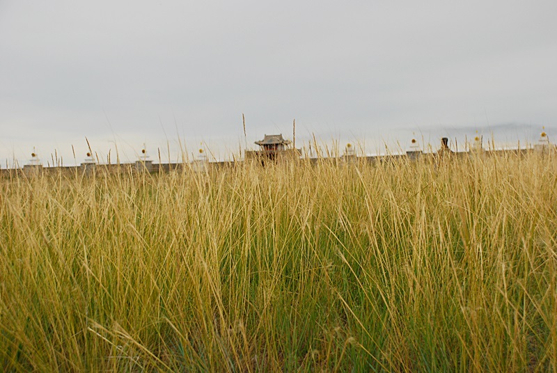 DSC_0613.JPG
