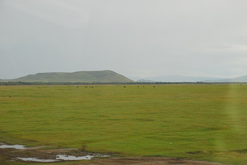 DSC_0840.JPG