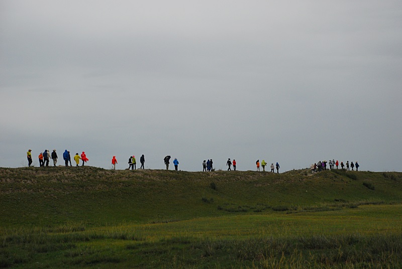 DSC_0715.JPG