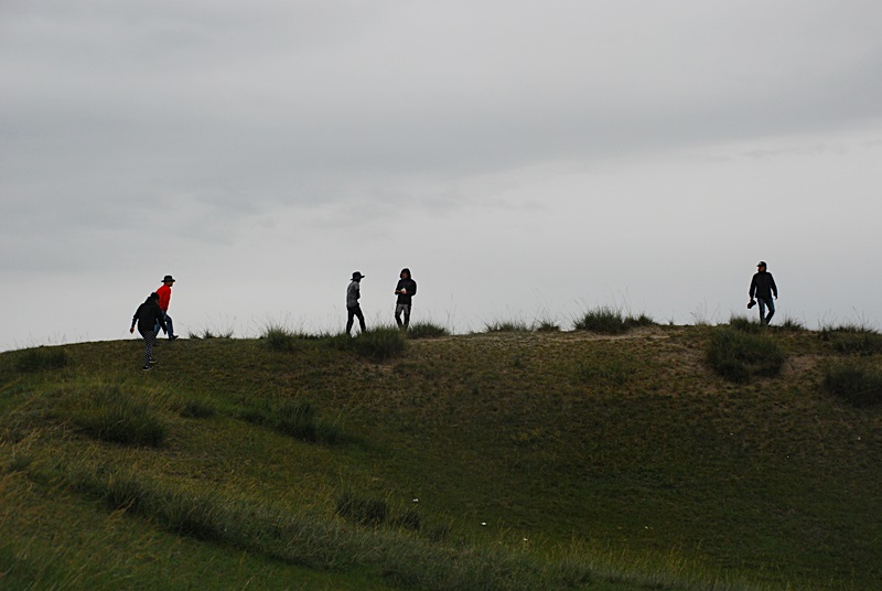 DSC_0713.JPG