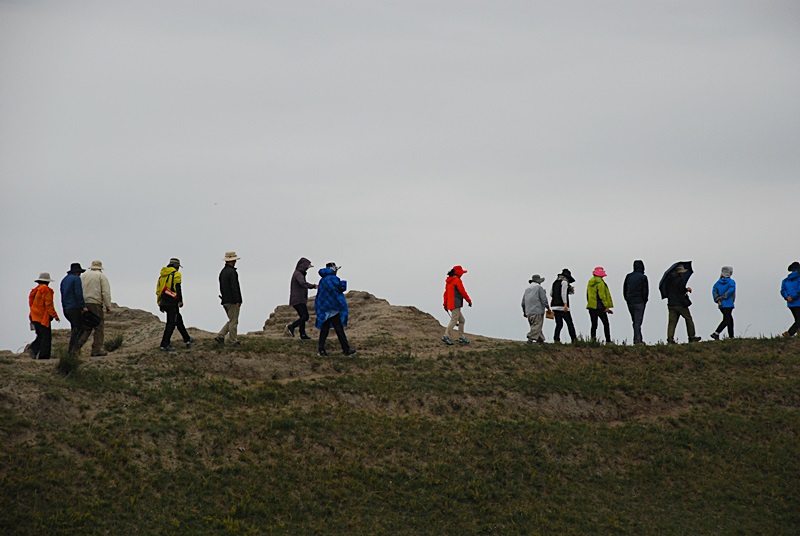 DSC_0705.JPG