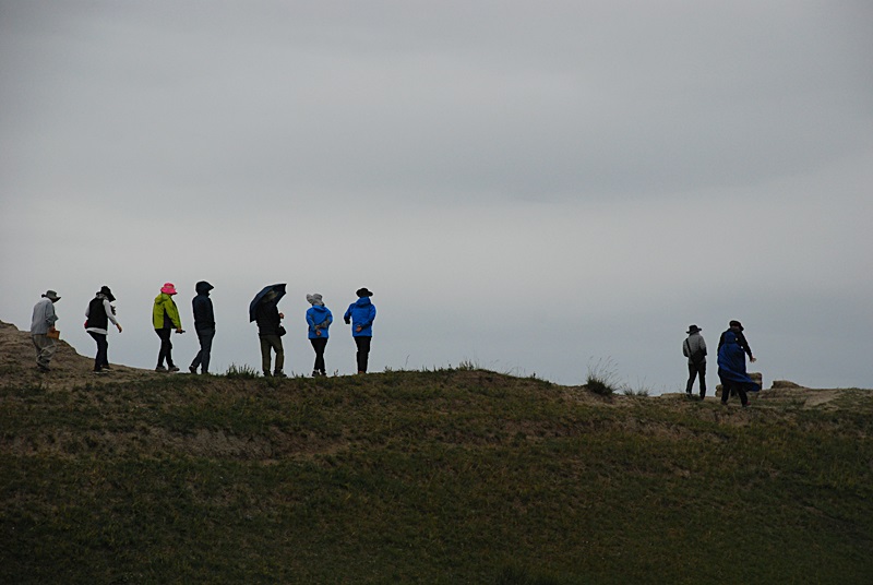 DSC_0704.JPG
