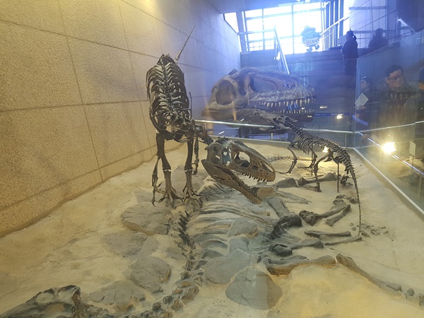 20180224_152844.jpg