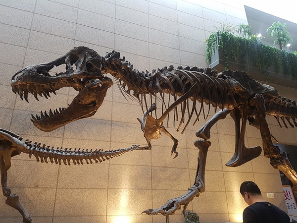 20180224_152904.jpg