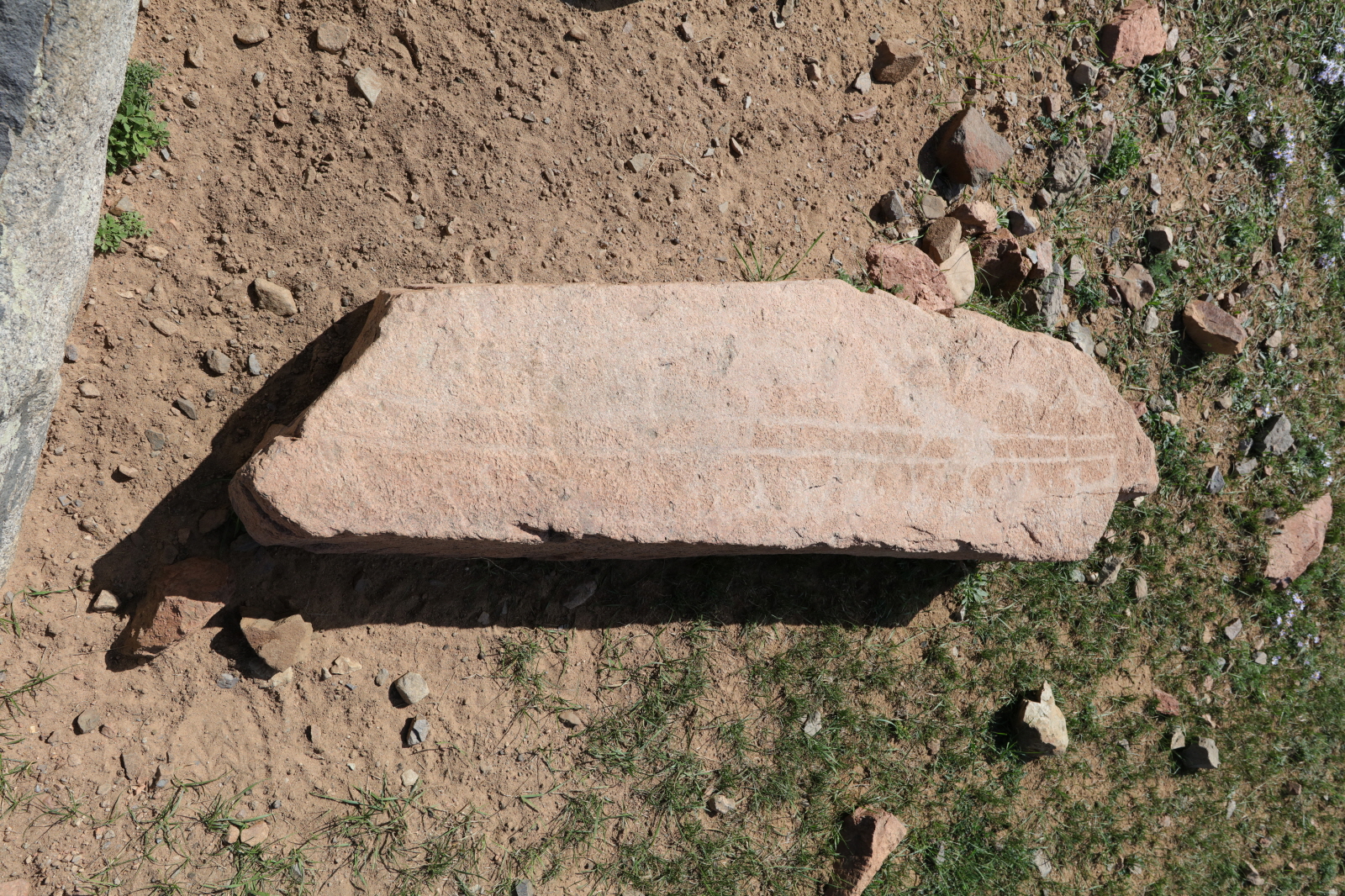 233A2187.JPG
