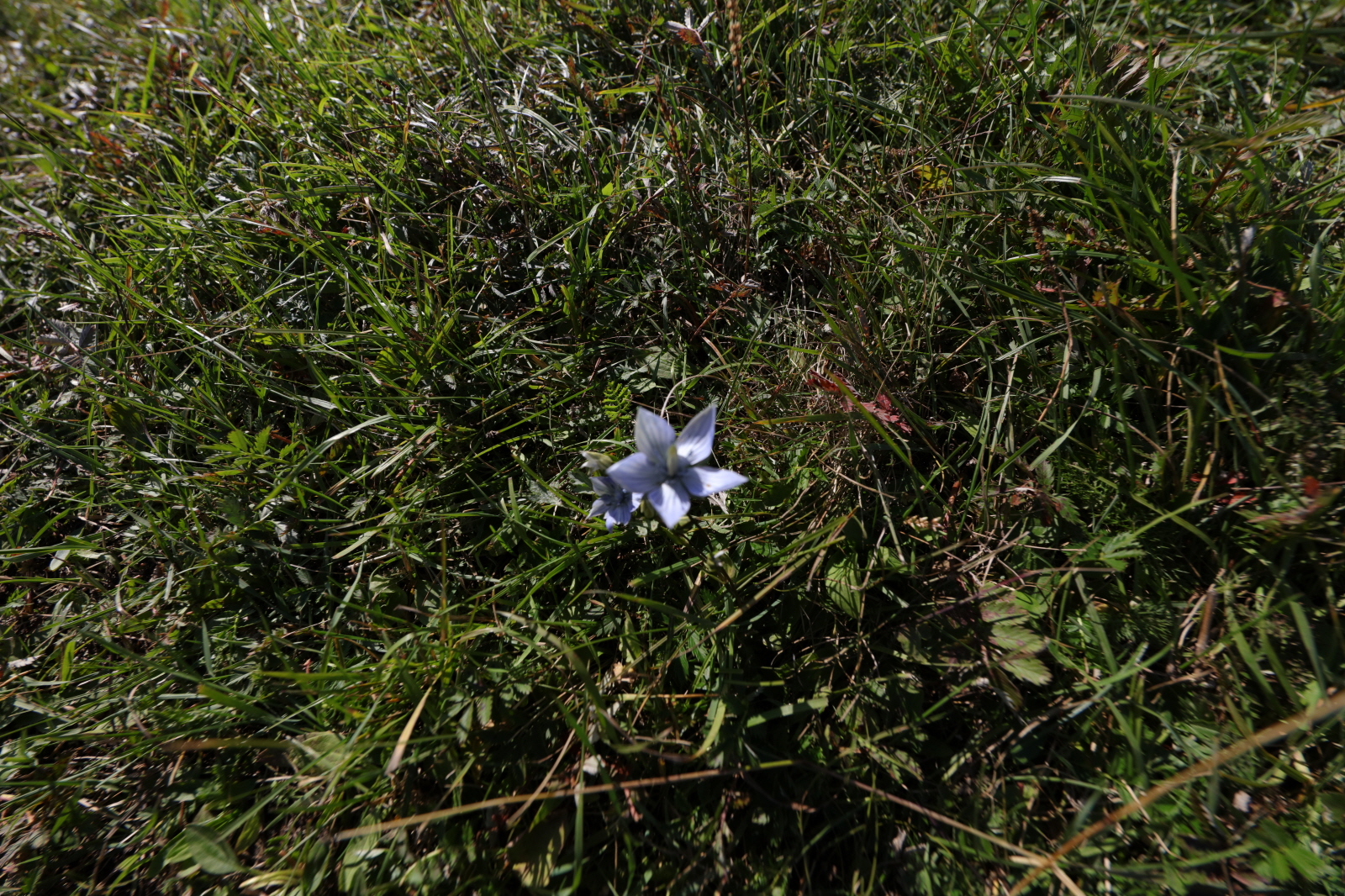 233A2563.JPG