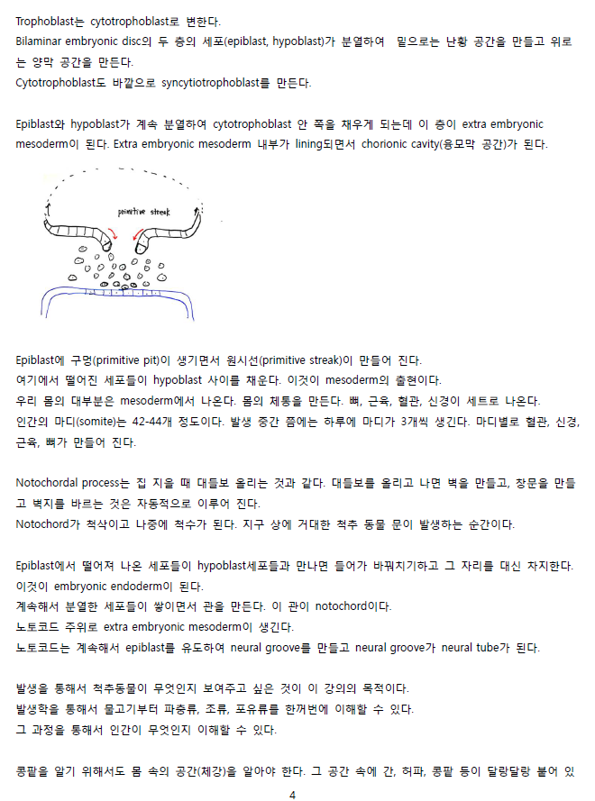 ScreenClip 04.png