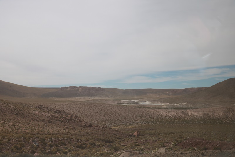 1561-20171221-215734.JPG