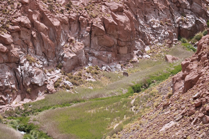 1587-20171221-215757.JPG