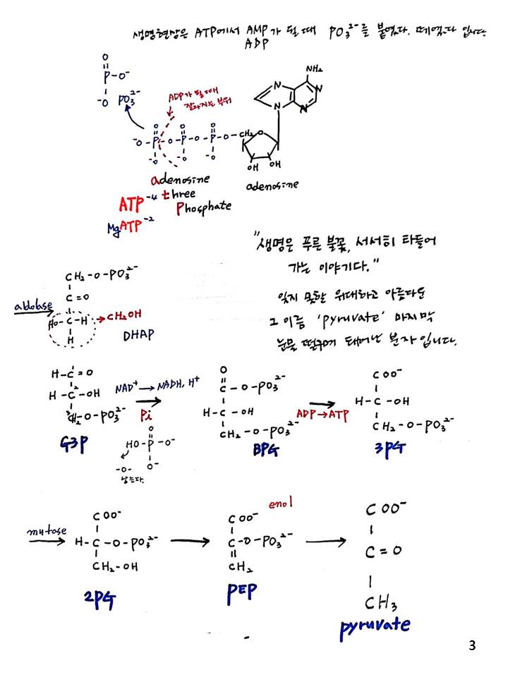 슬라이드3.JPG