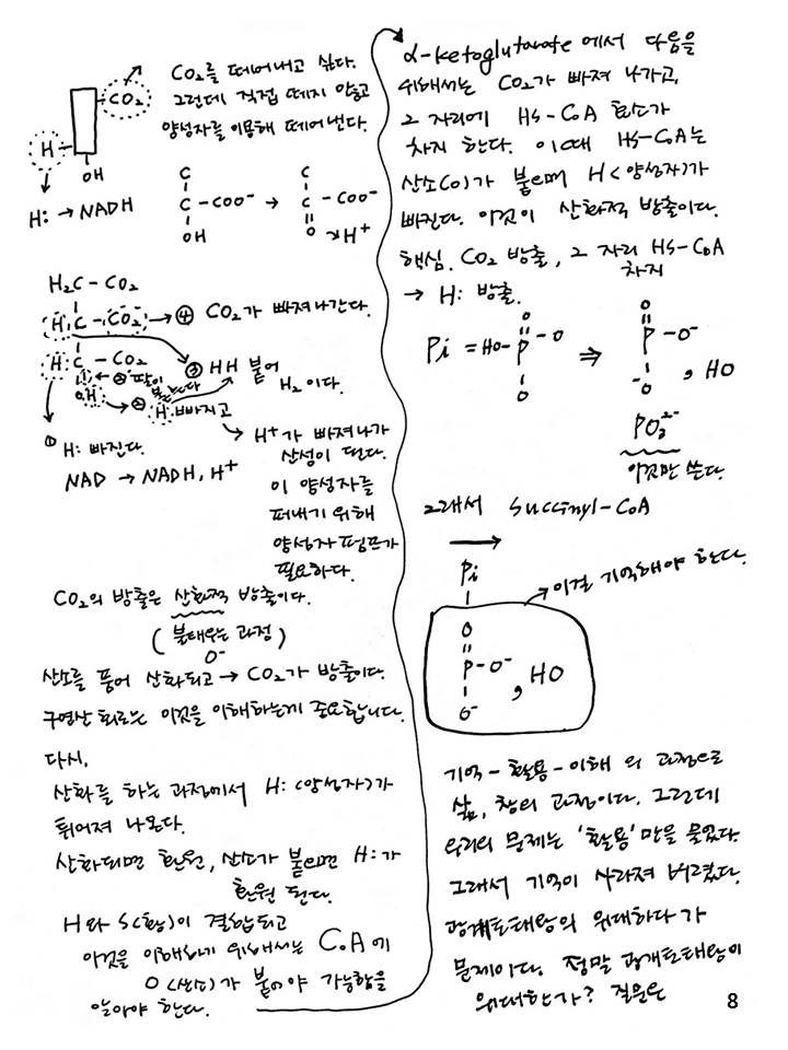 슬라이드8.JPG