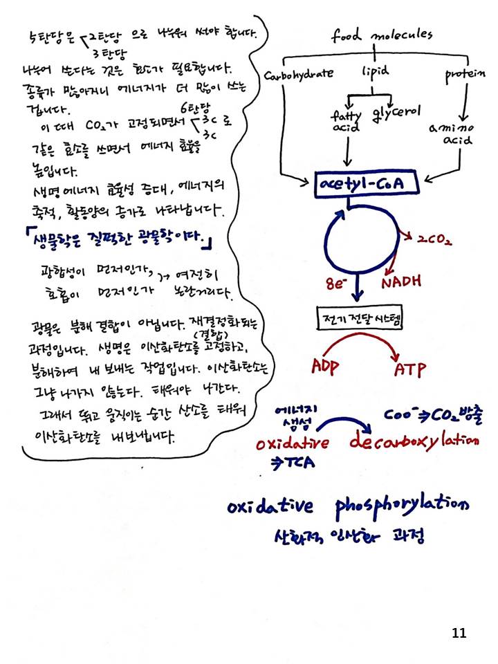 슬라이드11.JPG