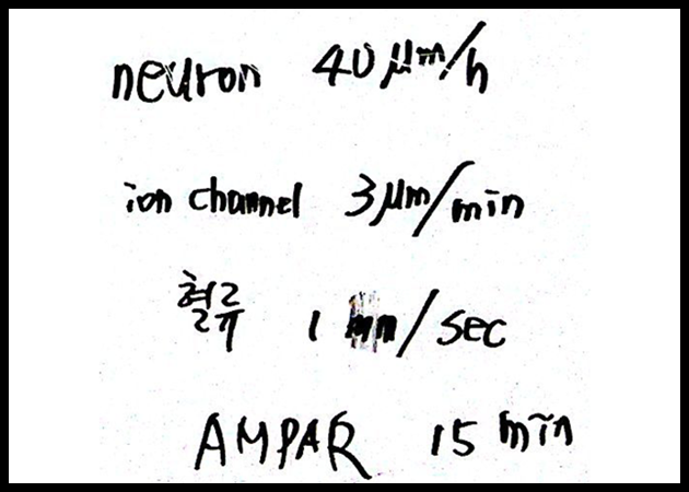 제5회 특별한 뇌과학 6강_Page_10.png