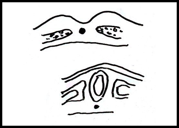 제5회 특별한 뇌과학 6강_Page_14.png