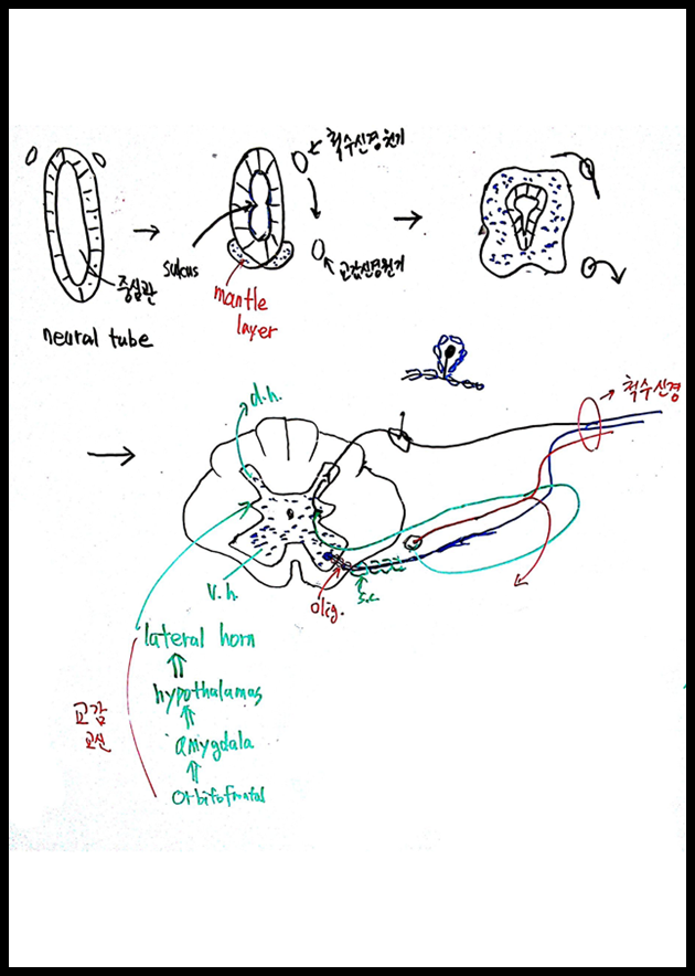 제5회 특별한 뇌과학 6강_Page_12.png