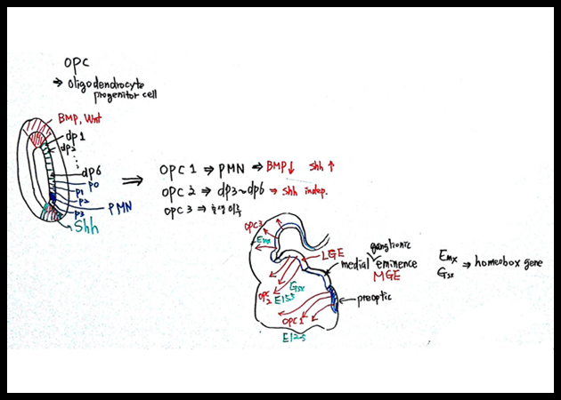 제5회 특별한 뇌과학 6강_Page_08.png