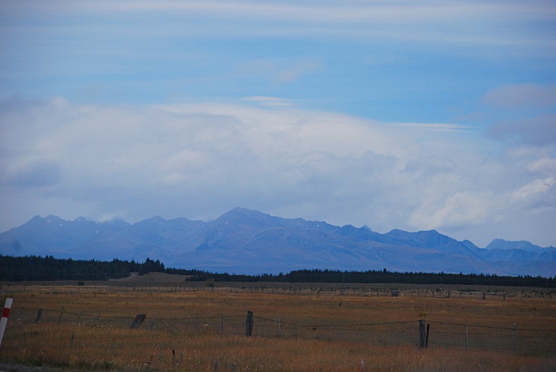 DSC_1000.JPG
